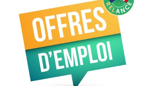 Plus de 10 000 offres en CDD contractuel, en apprentissage, en service civique et stage dans le cadre du Plan de relance national !