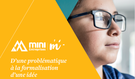 Module Pro 24.74 : Mini entreprises site pyrénées